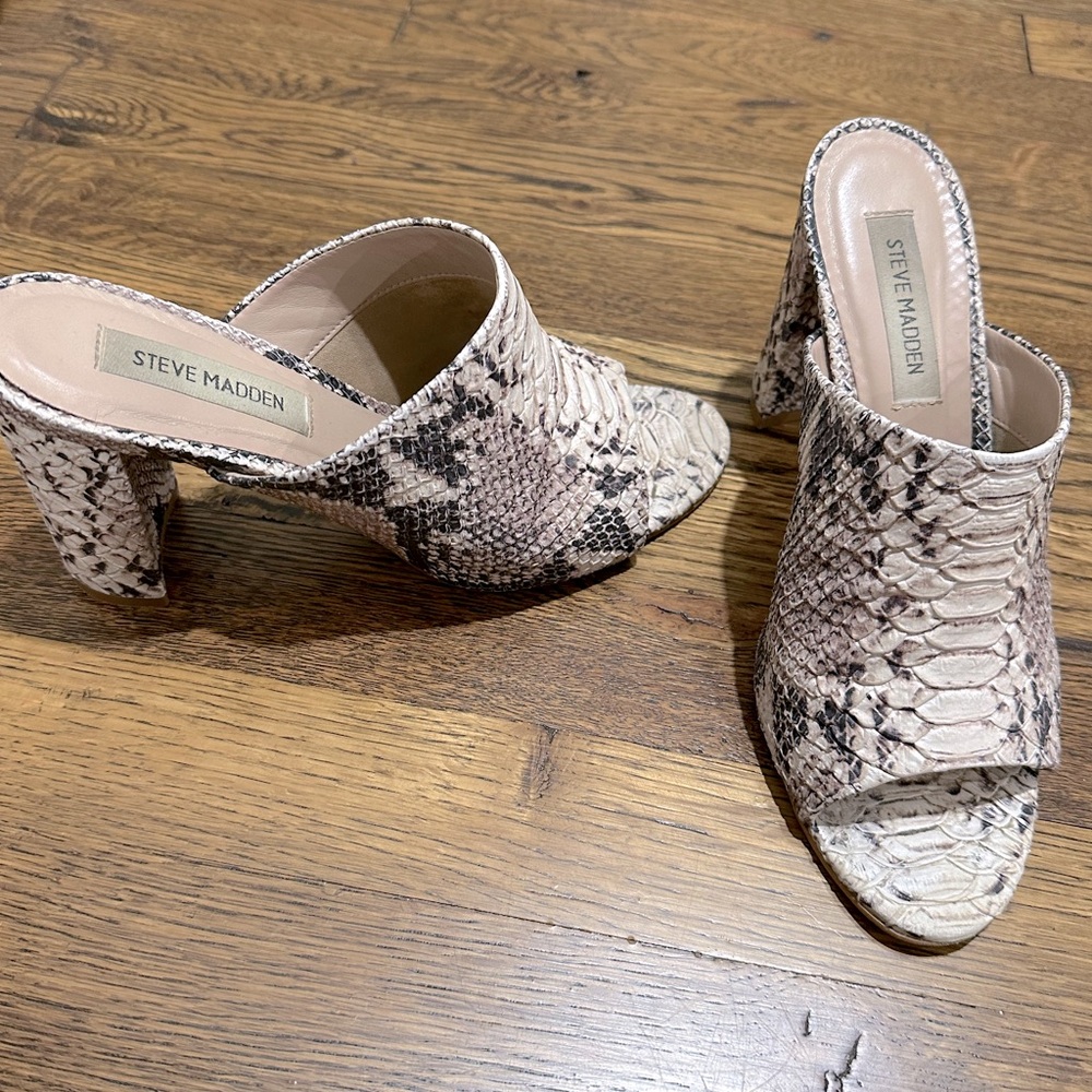 Snake skin steve madden shoes